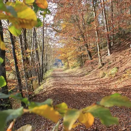 In Waldbrunn Σπίτι διακοπών *